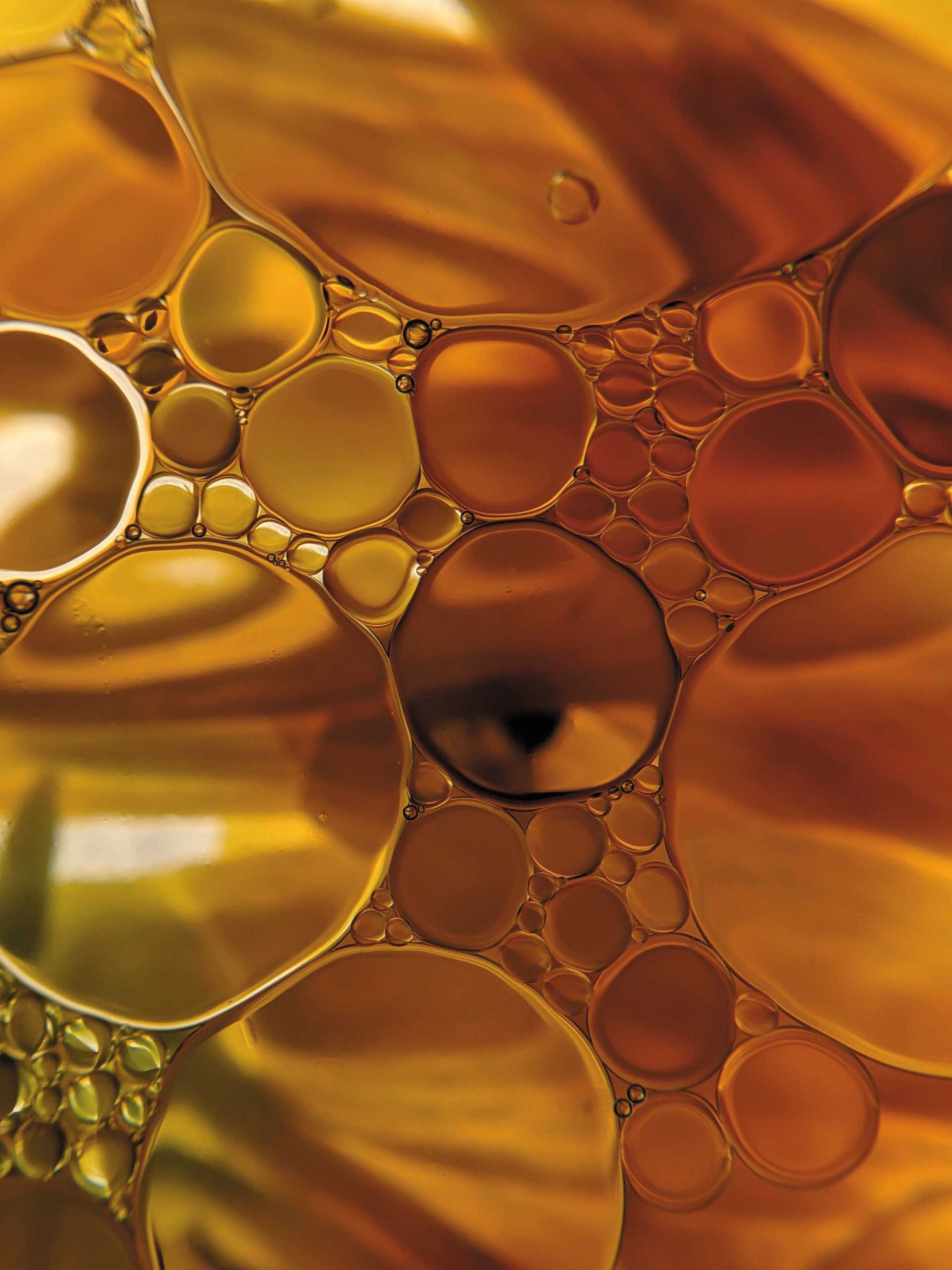 Oil Bubbles